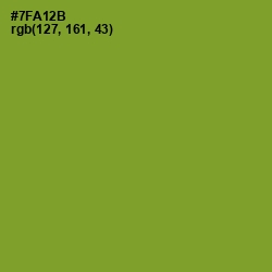 #7FA12B - Wasabi Color Image