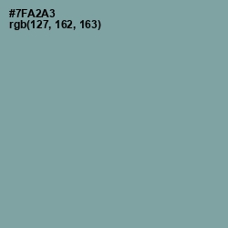 #7FA2A3 - Gumbo Color Image
