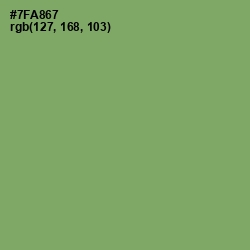 #7FA867 - Fern Color Image