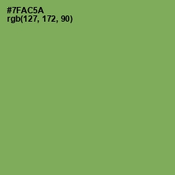 #7FAC5A - Asparagus Color Image