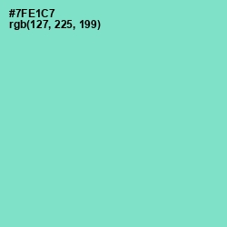 #7FE1C7 - Aquamarine Color Image