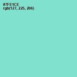 #7FE1CE - Aquamarine Color Image