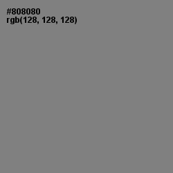 #808080 - Gray Color Image