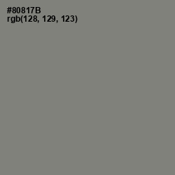#80817B - Schooner Color Image