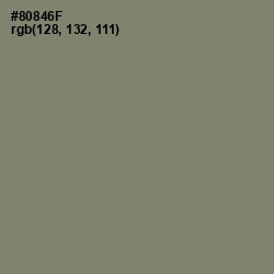 #80846F - Avocado Color Image