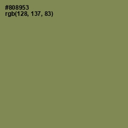 #808953 - Clay Creek Color Image