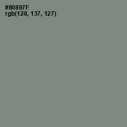 #80897F - Schooner Color Image