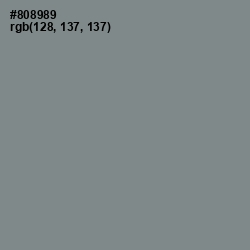 #808989 - Gunsmoke Color Image