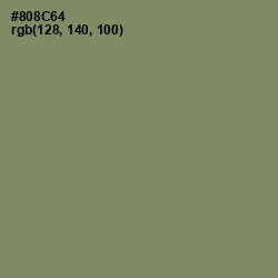 #808C64 - Avocado Color Image