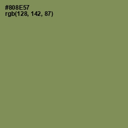 #808E57 - Avocado Color Image