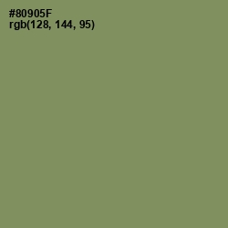 #80905F - Avocado Color Image