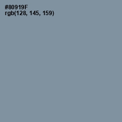 #80919F - Regent Gray Color Image