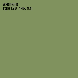 #80925D - Avocado Color Image