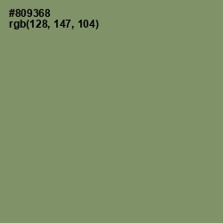 #809368 - Avocado Color Image