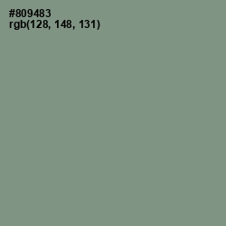 #809483 - Spanish Green Color Image