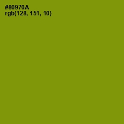 #80970A - Olive Color Image