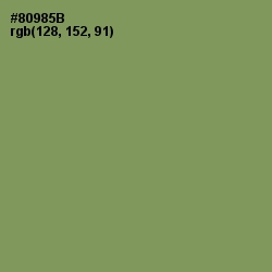 #80985B - Avocado Color Image
