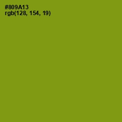 #809A13 - Olive Color Image