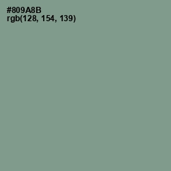 #809A8B - Spanish Green Color Image