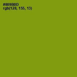 #809B0D - Olive Color Image