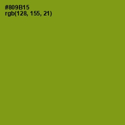 #809B15 - Olive Color Image