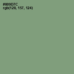#809D7C - Battleship Gray Color Image