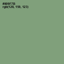#809F7B - Battleship Gray Color Image