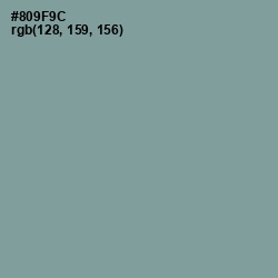 #809F9C - Regent Gray Color Image