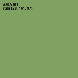 #80A161 - Olivine Color Image