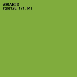 #80AB3D - Sushi Color Image