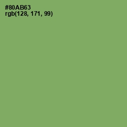 #80AB63 - Olivine Color Image