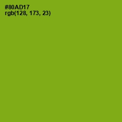 #80AD17 - Citron Color Image