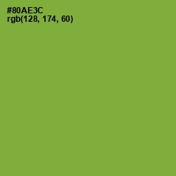#80AE3C - Sushi Color Image