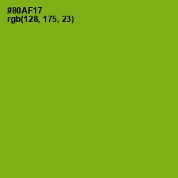 #80AF17 - Citron Color Image