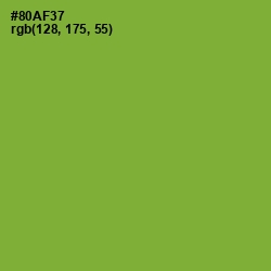 #80AF37 - Sushi Color Image