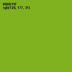 #80B11F - Citron Color Image