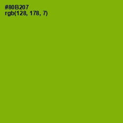#80B207 - Citron Color Image