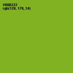 #80B222 - Sushi Color Image