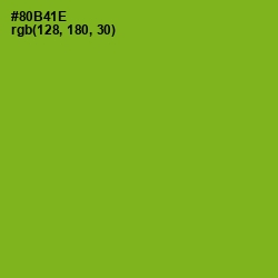 #80B41E - Citron Color Image