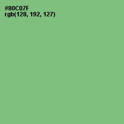 #80C07F - Wild Willow Color Image