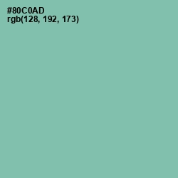 #80C0AD - Vista Blue Color Image