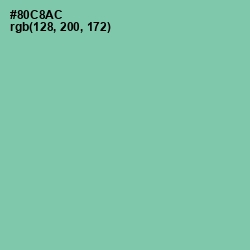 #80C8AC - Vista Blue Color Image