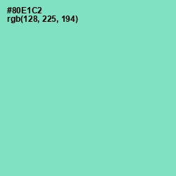 #80E1C2 - Riptide Color Image