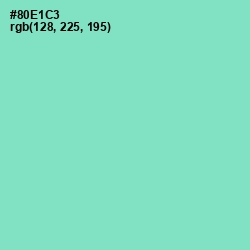 #80E1C3 - Riptide Color Image