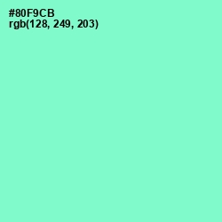 #80F9CB - Riptide Color Image