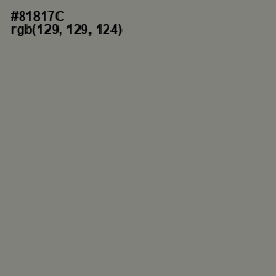 #81817C - Schooner Color Image