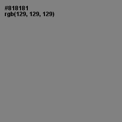 #818181 - Gray Color Image