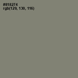 #818274 - Bandicoot Color Image