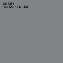 #818385 - Gunsmoke Color Image