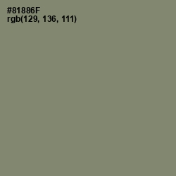 #81886F - Avocado Color Image